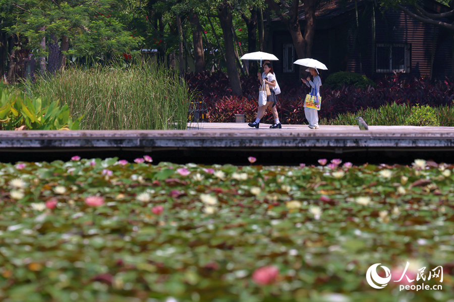 市民游客漫步于蓮池廊道。人民網(wǎng)記者 陳博攝