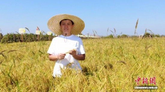 全國人大代表、寧安市渤海鎮(zhèn)上官地村黨支部書記、村委會主任陳雨佳在稻田中。 受訪者供圖